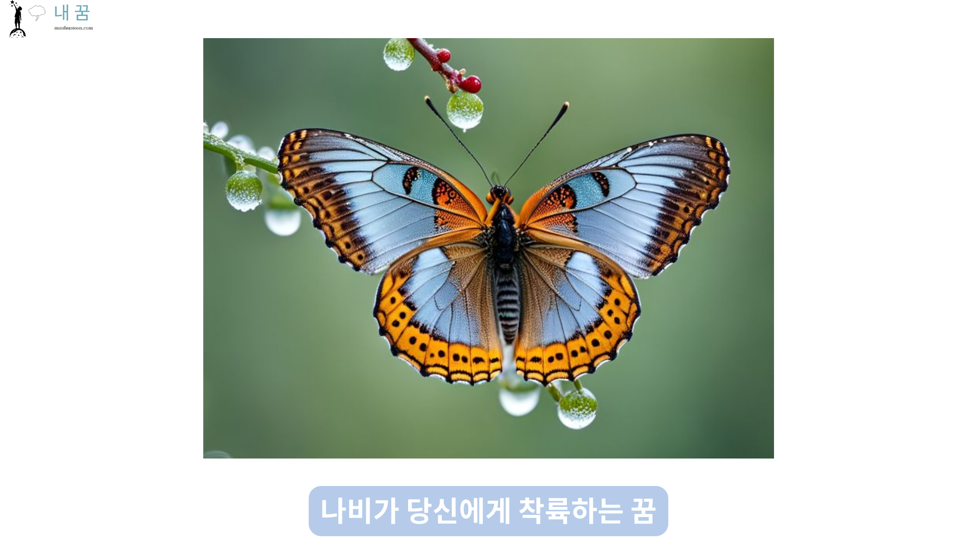 나비가 당신에게 착륙하는 꿈 (1)