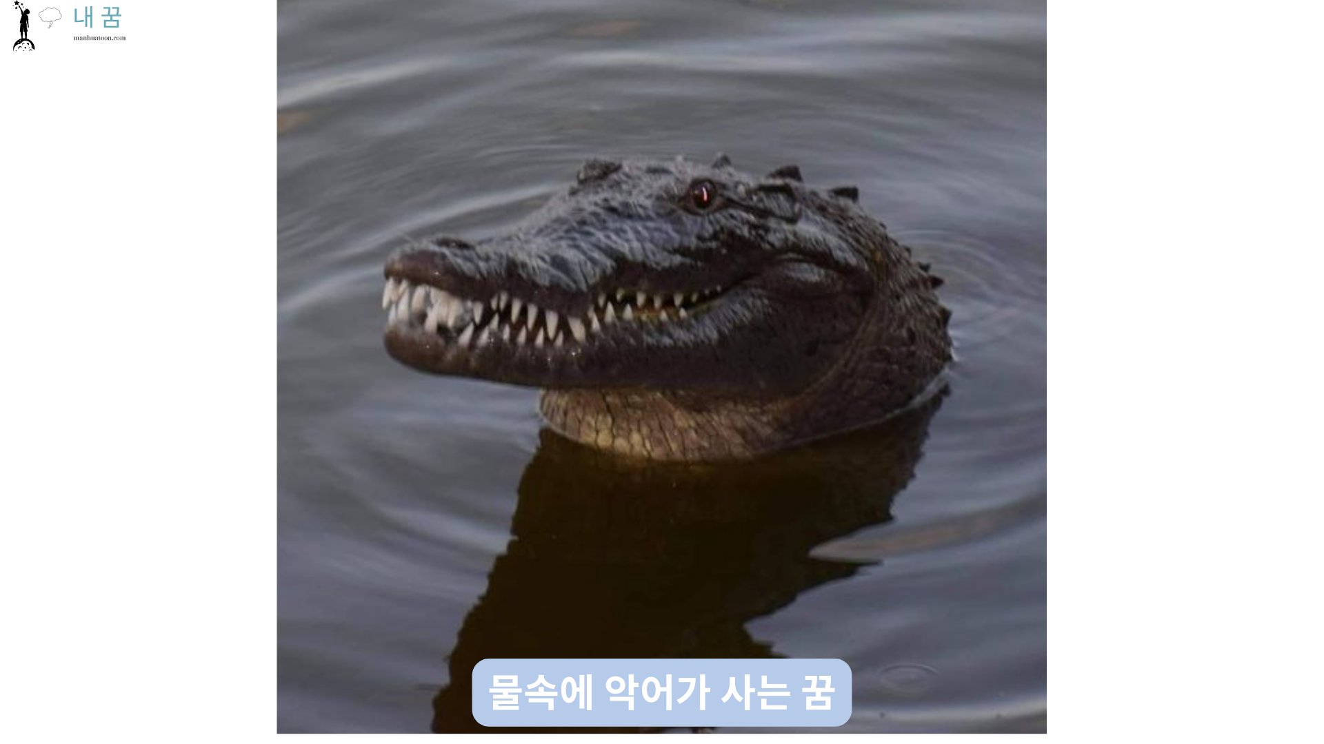 물속에 악어가 사는 꿈