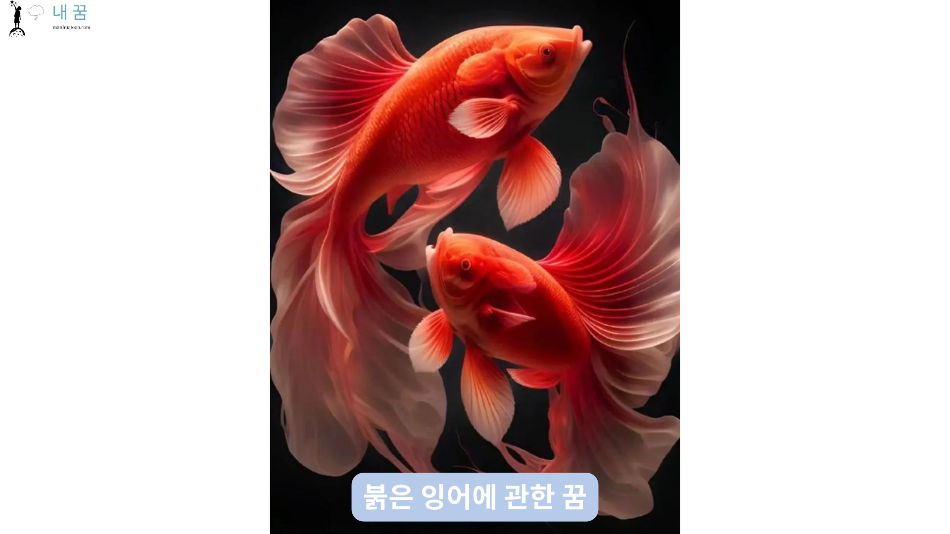 붉은 잉어에 관한 꿈